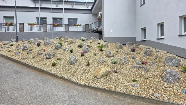 20260706_101614.jpeg
