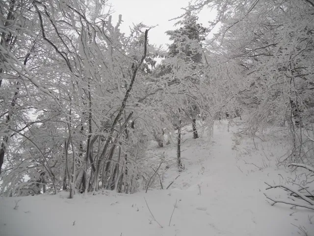dscn8778