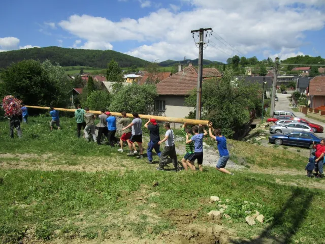 IMG_0101 (Medium).JPG