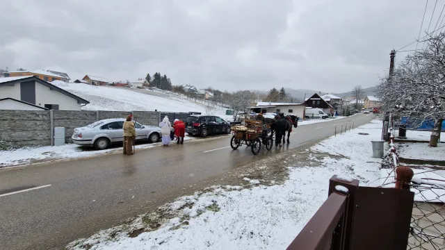 IMG-20221211-WA0004.jpg