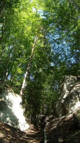kamenvrata