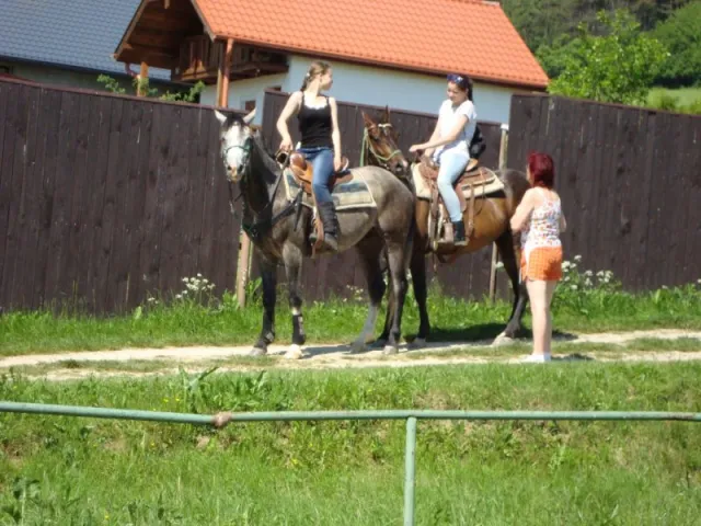dsc08319-medium