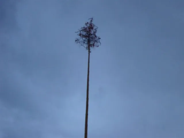 Váľanie obecného mája 2012