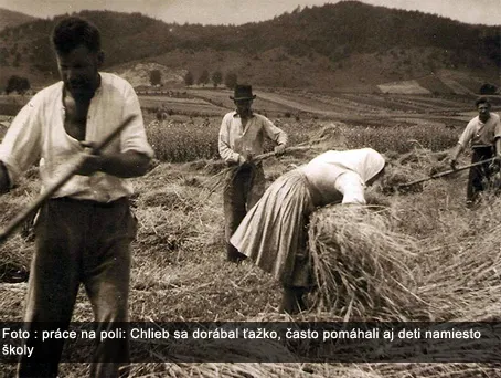 podhorie_hist_4-1342421478.jpg