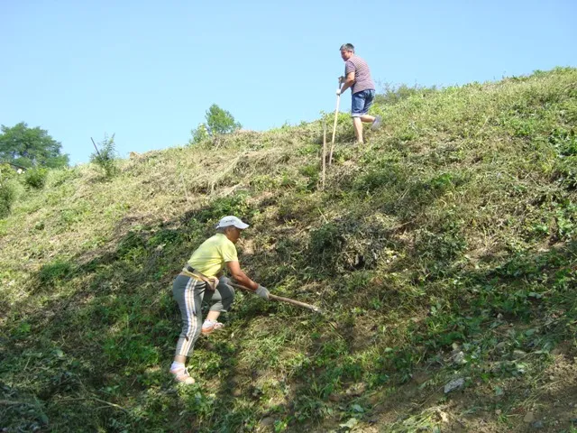 Dobrovolnícka brigáda